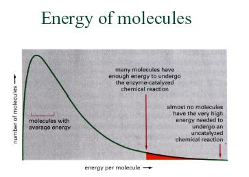 Ενέργεια ενεργοποίησης σε µια χηµική αντίδραση n Σε ένα διάλυµα µόνο ένα µικρό ποσοστό µορίων έχει την απαιτούµενη ενέργεια να συµµετάσχει σε µια χηµική