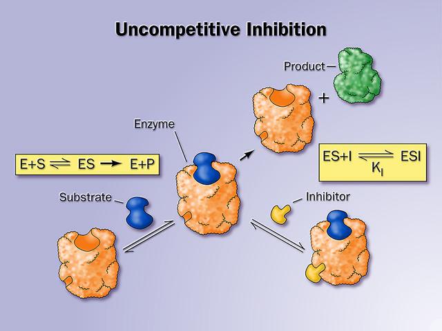 Ασυναγώνιστη ενζυµική αναστολή