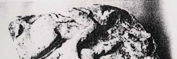 218 219