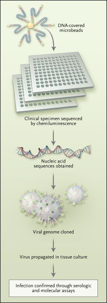 Use of High-Throughput DNA Pyrosequencing for Pathogen Discovery deaths (fatal