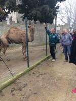 3η μέρα (Καθαρά Δευτέρα 27/2): Ήδη από τα έσχατα της προηγούμενης νύχτας, πολλοί είχαν στο μυαλό τους το χορταστικό πρωινό του ξενοδοχείου Έτσι, αφού το τιμήσαμε για μία ακόμα φορά δεόντως,