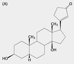 Αναστολή της αντλίας Νa + -K + µε παρεµπόδιση της