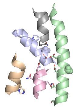 TM3 S251 TM3 V261 TM9 T304 D290 S93 M291 TM8 E262 TM9 P318 D304 N93 G305 E272 TM8 TM1 H31 Q310 A309 N311 V312 TM10 D266 V270 I274 A265 TM1 H31 N325 Q324 A323 N326 TM10 D276 T280 S284 G275 SmLL9