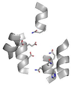 XanQ (ξανθίνης) TM3 N93 SmLL9 (ξανθίνης και ουρικού οξέος) TM3 S93 UacT (ουρικού οξέος) TM3 T100 TM9 D304 D27