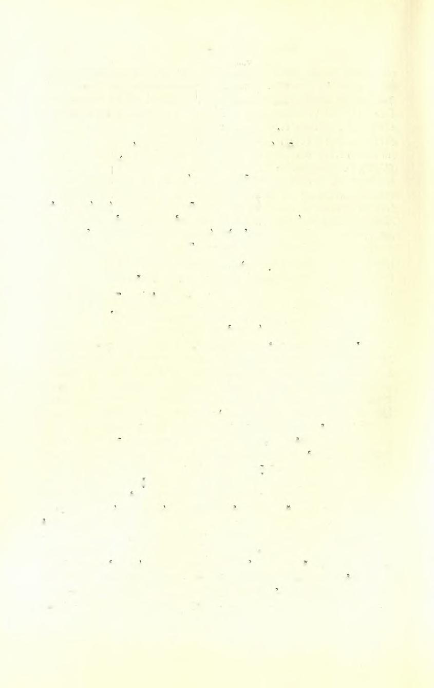 366 E. A. Πεζοποχίλον simillimo quoque numerorum genere usus est?