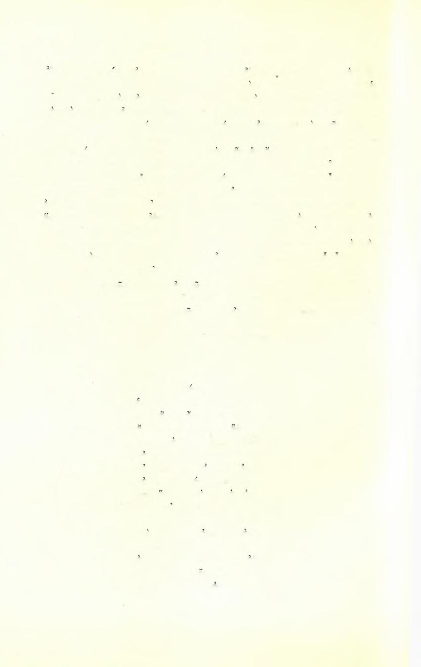 388 E. A.