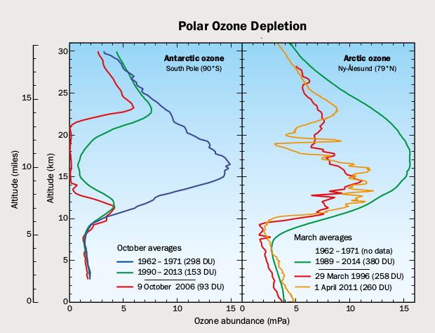 Παρόμοιο φαινόμενο με αυτό της τρύπας του όζοντος στην Ανταρκτική εμφανίζεται και στην Αρκτική στο Βόρειο Πόλο, κατά τους μήνες Ιανουάριο μέχρι Απρίλιο (Σχήμα 1.8).