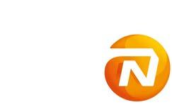 NN (L) International Ημερομηνία Ενημερωτικού Δελτίου Ιούνιος 2015 ΟΙ ΟΣΕΚΑ ΔΕΝ