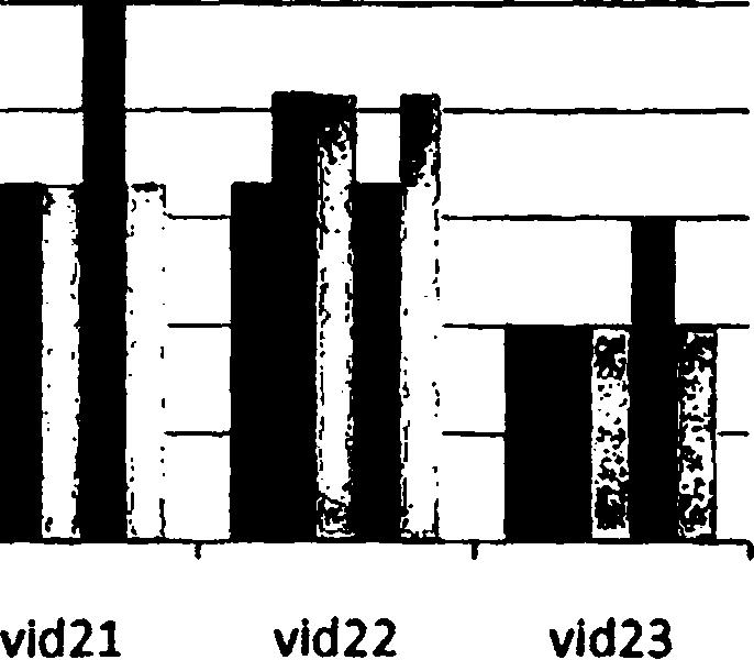 vidl9 vid20 Multi-view Threshold 10% Threshold 5% Multi20ne Max Weight Σχήμα 7.