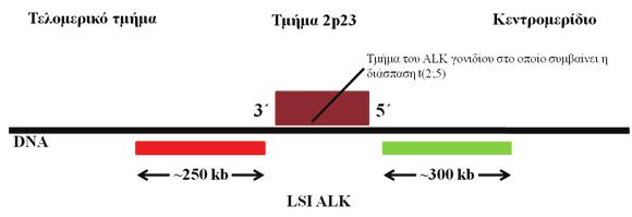 και 1 κίτρινο σήμα ή ζευγος ερυθρού/πράσινου σήματος (1R1G1F ή 1R1G1GR).