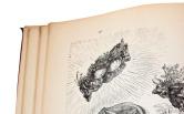 Dalí ilustrador Ο Νταλί εικονογράφος Η εικονογράφηση βιβλίων, καταλόγων και περιοδικών ήταν μια έμφυτη κλίση του Νταλί, που είχε ήδη εκδηλωθεί από το 1916, όταν σχεδίαζε διηγήματα για την άρρωστη