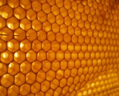 Κανονικά πολύγωνα στη φύση Η κηρήθρα είναι ένα φυσικό θαύμα αρχιτεκτονικής Οι μέλισσες έχουν εφεύρει τον καλύτερο τρόπο για να κάνουν οικονομία πρώτης ύλης, δηλαδή κεριού, αλλά και χώρου μέσα στην