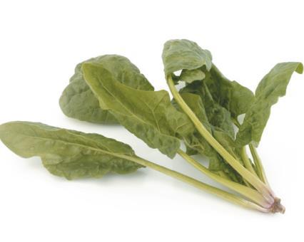 Γ. Λαχανικά ωμά (1 φλυτζάνι περιέχει 5 γραμμάρια υδατανθράκων - Εάν καταναλωθεί μεγαλύτερη ποσότητα θα πρέπει να συνυπολογισθεί στο σύνολο των υδατανθράκων) Αγγούρι Καυτερές πιπεριές Κάπαρη Κινέζικο