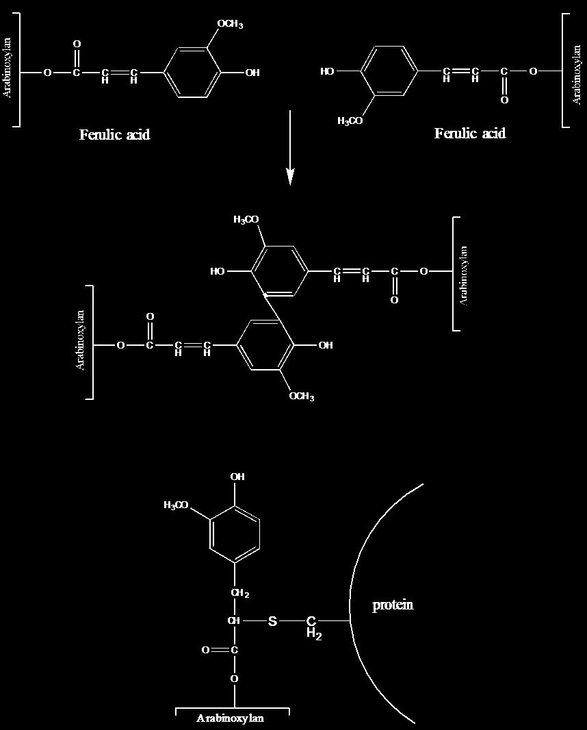 Σχήμα 7.