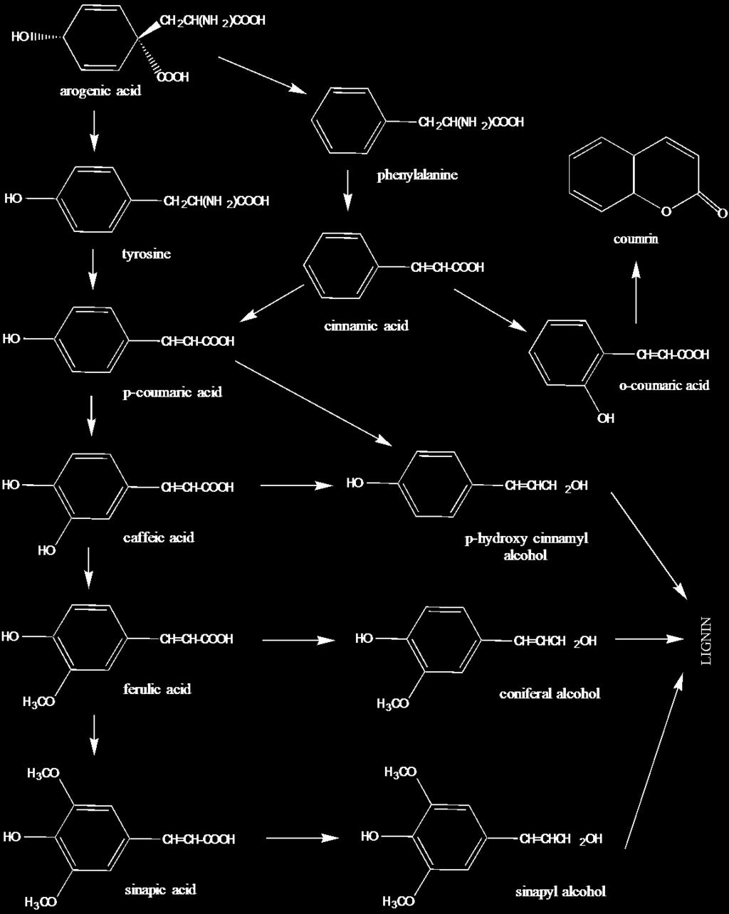 Σχήμα 1β.