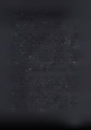 3.6 T.L.