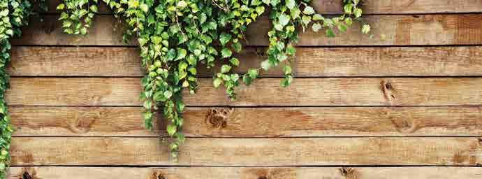 Σετ κήπου ξύλινο Ευκάλυπτος FSC Μαξιλάρια χρώματος κρεμ, πολυεστέρας