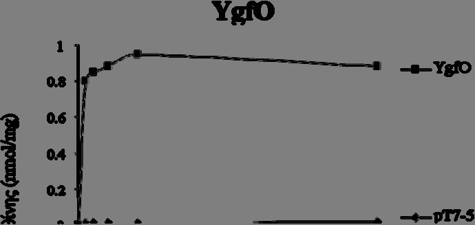 92 YgfO και 15-φορές για την YicE. Άρα, πρόκειται για πρωτεΐνες ενεργού μεταφοράς που επιτρέπουν συσσώρευση του υποστρώματος αντίθετα προς τη διαβάθμιση της συγκέντρωσης.