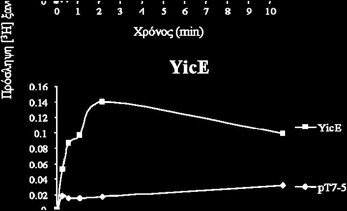 coli Τ184 που υπερεκφράζουν τις YgfO και YicE σε σχέση με κύτταρα που είναι μετασχηματισμένα με τον αρνητικό μάρτυρα pt7-5.