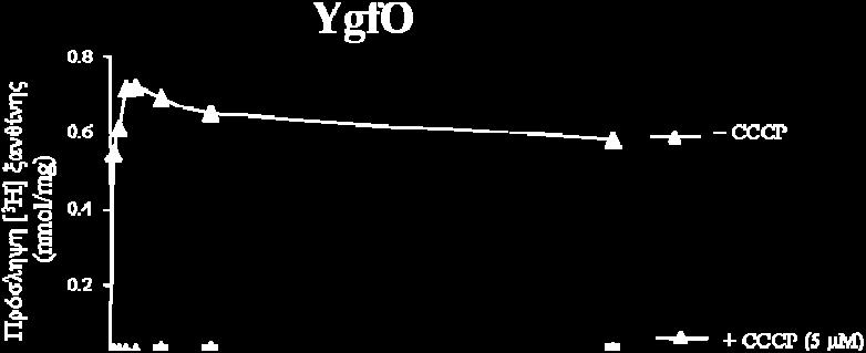 ξανθίνης των διαπερασών YgfO και YicE Κύτταρα E.