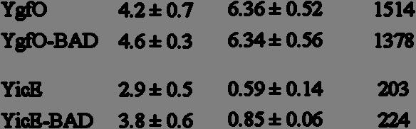 109 Πίνακας 3.5: Τιμές K m και V max των YgfO-BAD και YicE-BAD Χρησιμοποιήθηκαν κύτταρα E.