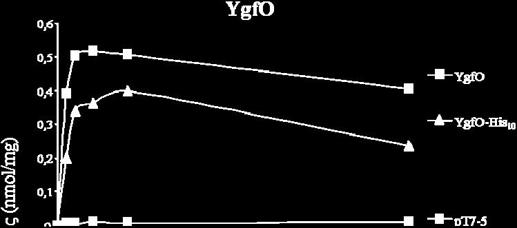 YgfO-His 10 και YicE-His 10 Κύτταρα E.