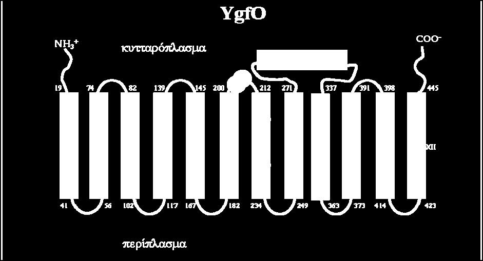 δεν είναι προσβάσιμες είτε ότι όλες ή ορισμένες μπορεί να αλκυλιώνονται από το ΝΕΜ