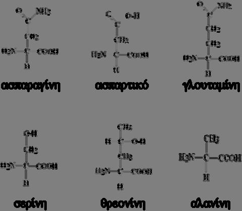 150 3.4.3.2. Η Asn325 είναι αναντικατάστατη για τη μεταφορά ξανθίνης Η Asn325 είναι απόλυτα συντηρημένη μεταξύ όλων των μελών της οικογένειας ΝΑΤ/NCS2.