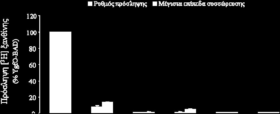 36: Ενεργότητα πρόσληψης ξανθίνης των μεταλλαγμάτων της YgfO στη θέση 325 Κύτταρα E.