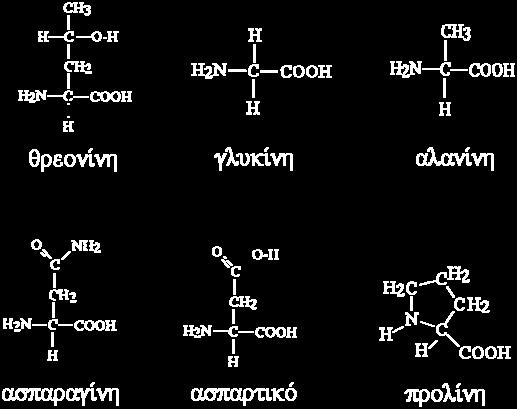 5 mm) για 2h, πραγματοποιήθηκε παρασκευή κλάσματος μεμβρανών, ηλεκτροφόρηση δειγμάτων 100 μg ολικής πρωτεΐνης σε πήγμα