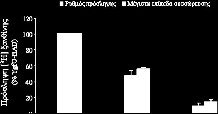 λογαριθμικής φάσης ανάπτυξης. Ακολούθως, πραγματοποιήθηκε επαγωγή της έκφρασης με IPTG (0.5 mm) για 2h, συλλογή, έκλπυση των κυττάρων με KP i και δοκιμασία ενεργού μεταφοράς [ 3 Η]ξανθίνη (1 μμ).
