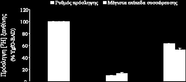 162 Εικόνα 3.44: Έκφραση των μεταλλαγμάτων της YgfO στις θέσεις 318 και 340 Κύτταρα E.