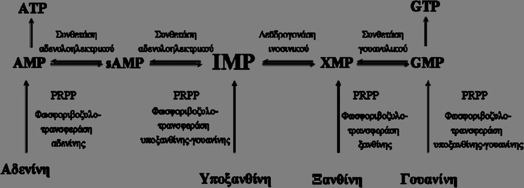 38 Εικόνα 1.