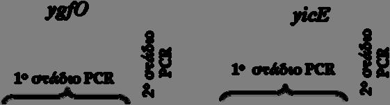 63 Εικόνα 2.