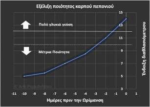 Για να έχουν μεγαλύτερους και ποιοτικότερους πρώτους καρπούς, πολλοί παραγωγοί επιλέγουν να κλαδέψουν τους καρποφόρους βλαστούς ώστε να αφήσουν δύο φύλλα μετά τον καρπό.