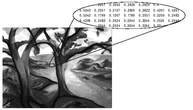 images : [0,1] or uint8,