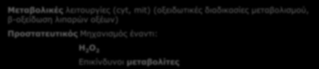 Ποικιλία βιοχημικών λειτουργιών Λειτουργίες biosynthesis of plasmalogens Οξείδωση αλκοολών catabolism of purines and polyamines metabolism of prostaglandins photorespiration in plants (Παραγωγή
