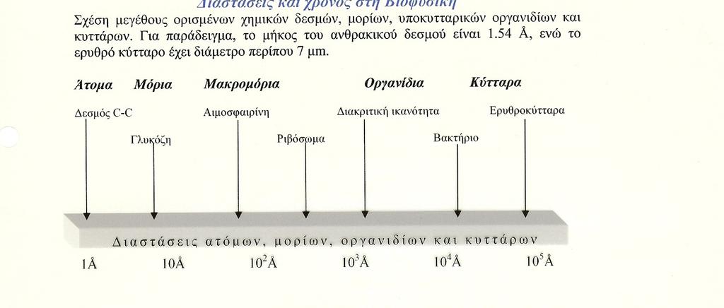 Διαστάσεις και