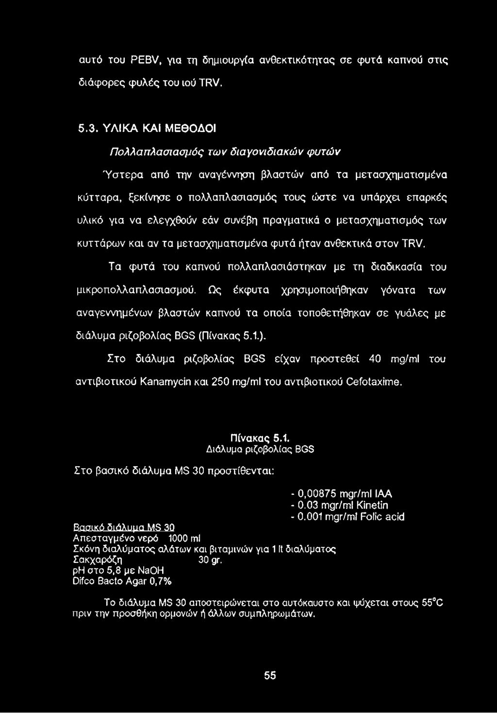ελεγχθούν εάν συνέβη πραγματικά ο μετασχηματισμός των κυττάρων και αν τα μετασχηματισμένα φυτά ήταν ανθεκτικά στον TRV. Τα φυτά του καπνού πολλαπλασιάστηκαν με τη διαδικασία του μικροπολλαπλασιασμού.