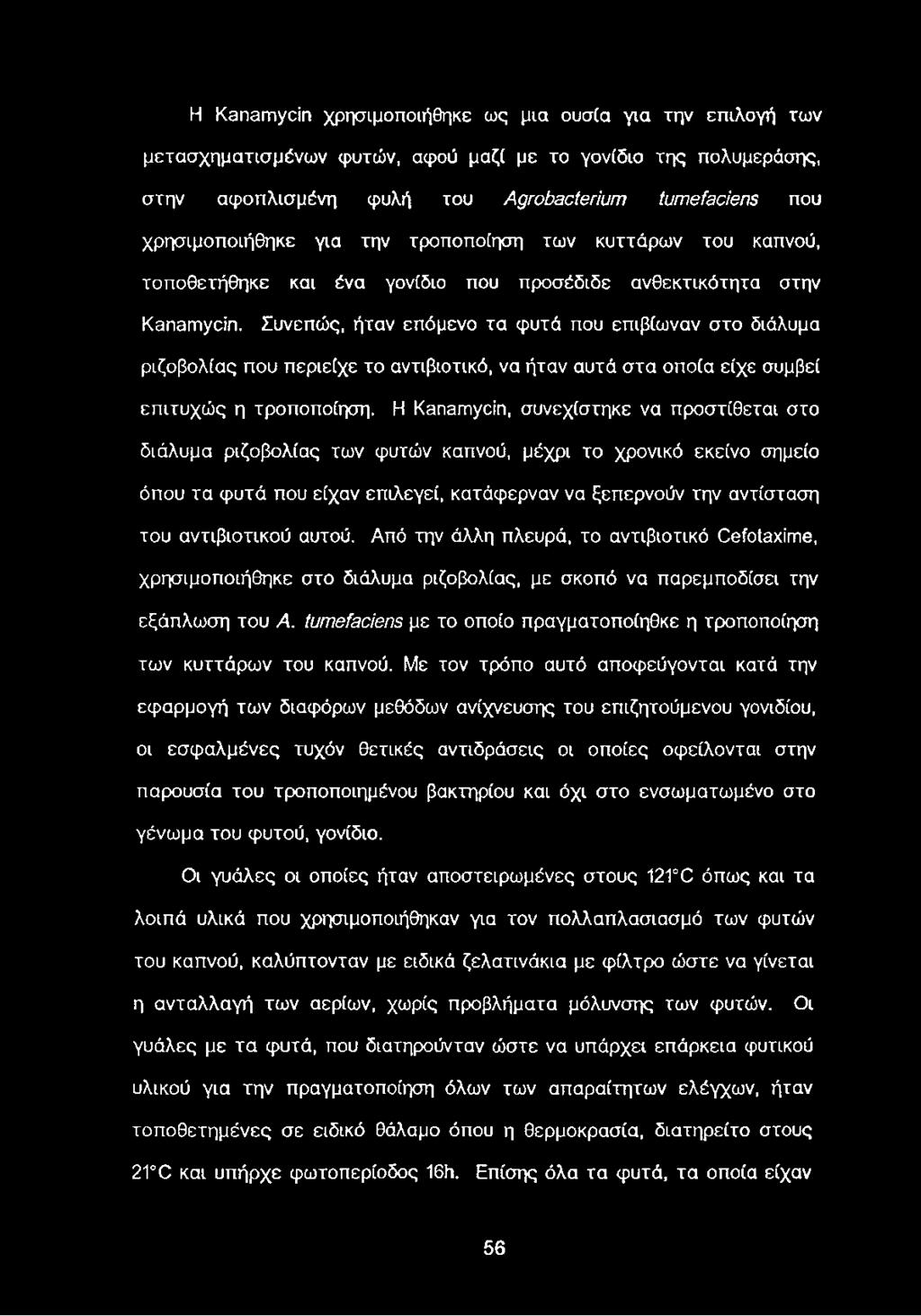 Συνεπώς, ήταν επόμενο τα φυτά που επιβίωναν στο διάλυμα ριζοβολίας που περιείχε το αντιβιοτικό, να ήταν αυτά στα οποία είχε συμβεί επιτυχώς η τροποποίηση.