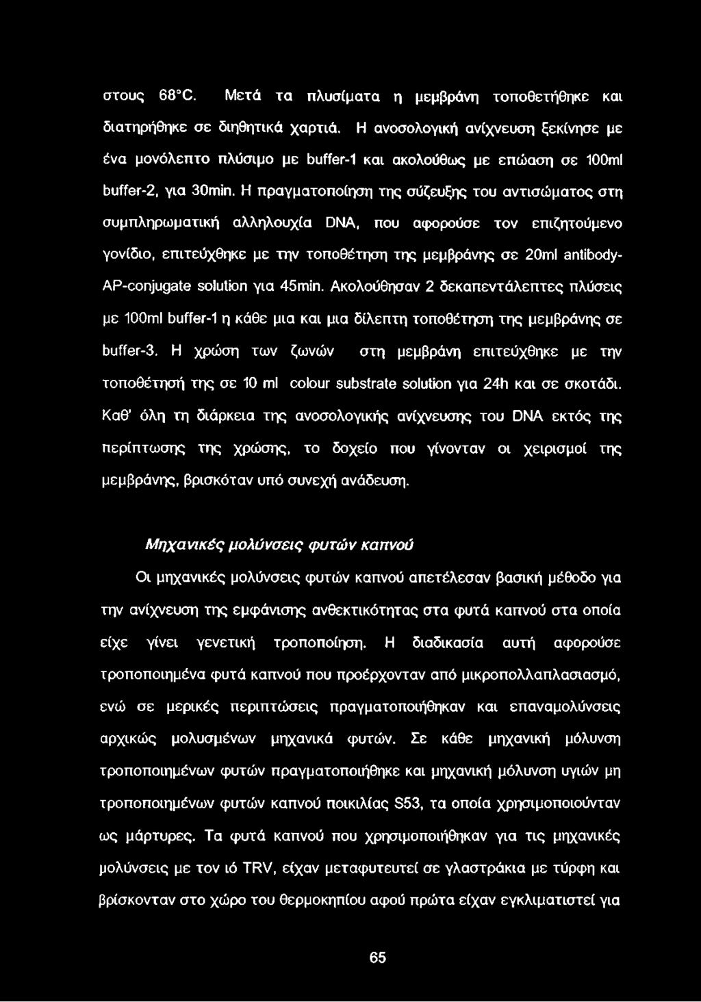 Η πραγματοποίηση της σύζευξης του αντισώματος στη συμπληρωματική αλληλουχία DNA, που αφορούσε τον επιζητούμενο γονίδιο, επιτεύχθηκε με την τοποθέτηση της μεμβράνης σε 20ml antibody- AP-conjugate