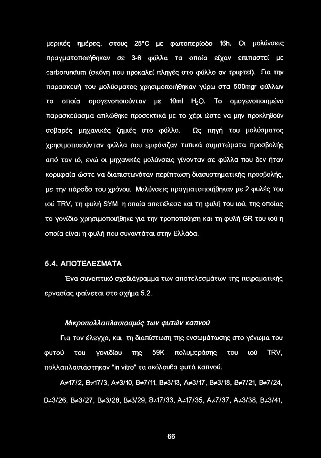 Το ομογενοποιημένο παρασκεύασμα απλώθηκε προσεκτικά με το χέρι ώστε να μην προκληθούν σοβαρές μηχανικές ζημιές στο φύλλο.