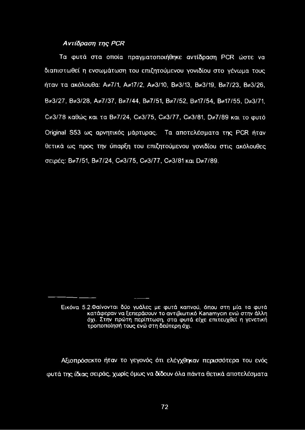 τα Β*7/24, 0 3 /7 5, 0 3 /7 7, 03/81, 0 7 /8 9 και το φυτό Original S53 ως αρνητικός μάρτυρας.
