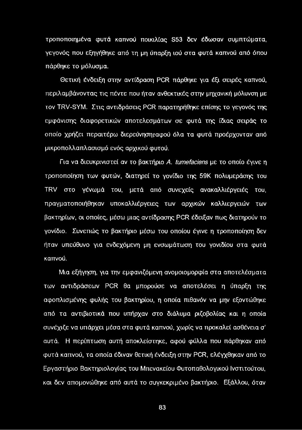 Στις αντιδράσεις PCR παρατηρήθηκε επίσης το γεγονός της εμφάνισης διαφορετικών αποτελεσμάτων σε φυτά της ίδιας σειράς το οποίο χρήζει περαιτέρω διερεύνηση^αφού όλα τα φυτά προέρχονταν από