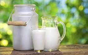 λινελαικό οξύ που συναντώνται στο γάλα έχουν αντικαρκινική δράση.