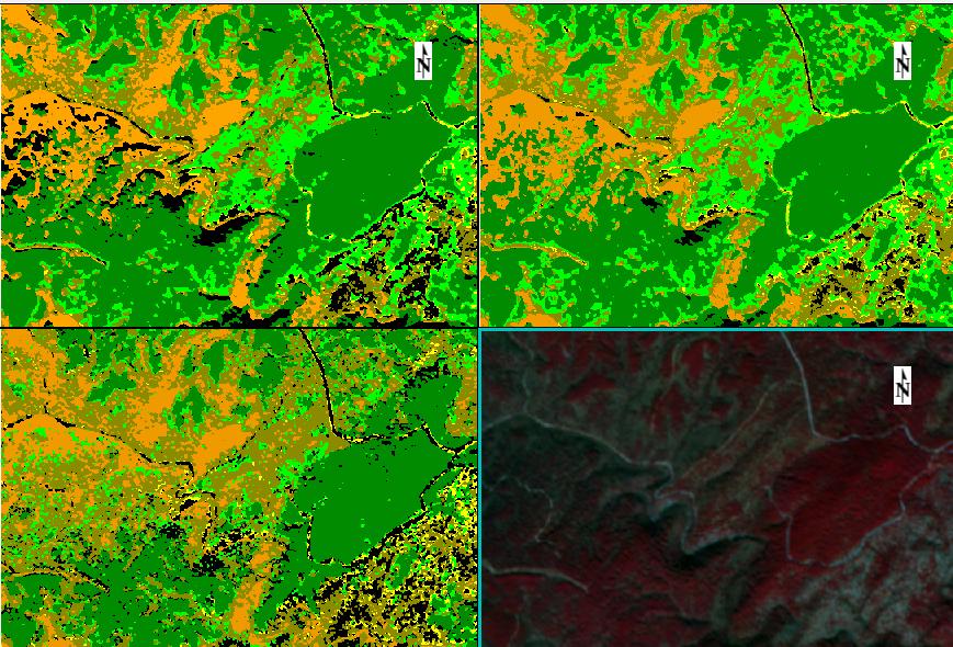Εικόνα 72: Τμήμα της ταξινομημένης εικόνας «Μάρτιος 2014» της περίπτωσης «Δασικά Είδη», με τους ταξινομητές SVM για n=2500 pixel (πάνω αριστερά), RF για n= 3000 (πάνω δεξιά) και ΜL για n= 3000 pixel
