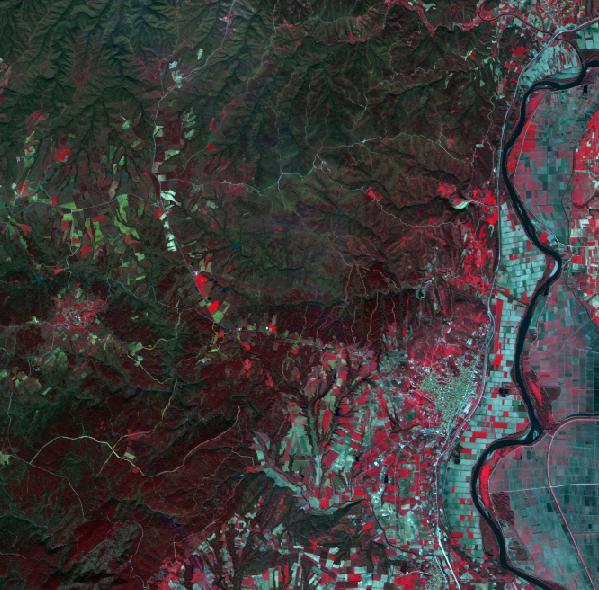 Εικόνα 5: Σετ δεδομένων RapidEye όπου απεικονίζεται η περιοχή μελέτης, τμήμα του Εθνικού Πάρκου Δαδιάς- Λευκίμης- Σουφλίου κατά το Μάρτιο 2014 (πάνω αριστερά), Αύγουστο 2014 (πάνω