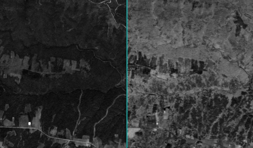 Εικόνα 6: Απεικόνιση μεικτού δάσους στον πράσινο (Green) (αριστερά) και εγγύς υπέρυθρο (NIR) δίαυλο (δεξιά), το οποίο απεικονίζεται με ανοιχτό γκρι τόνο στη δεξιά εικόνα και διακρίνεται καλύτερα από
