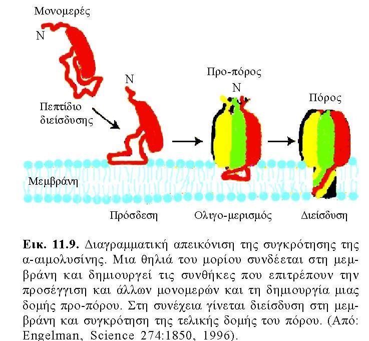 Αυτοσυγκρότηση με φυσικοχημικές