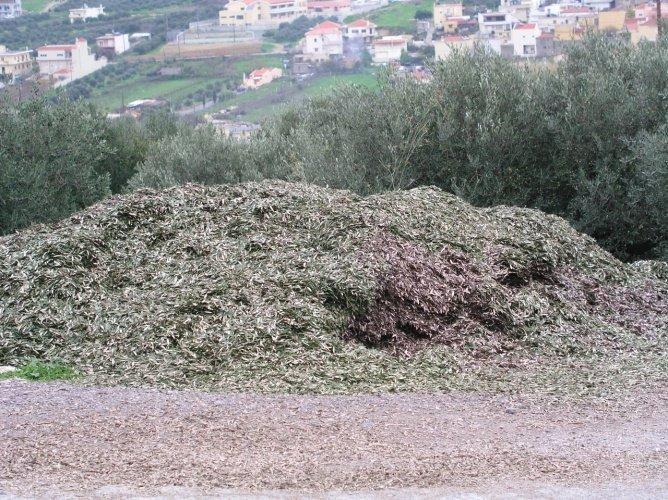 Πτυχιακή διατριβή Μιχελάκη Γιάννη & Χαλεβελάκη Γιώργου Η ανάγκη για καθαρό περιβάλλον, καθίσταται ολοένα και πιο επιτακτική.